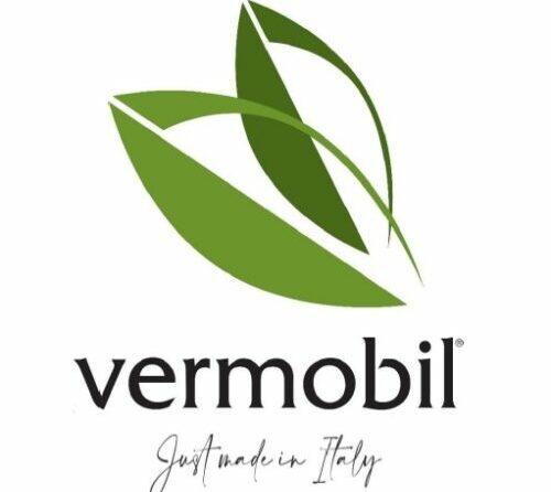 logo vermobil (2)